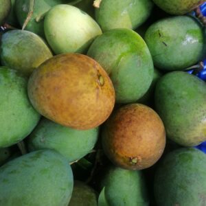 হিমসাগর আম